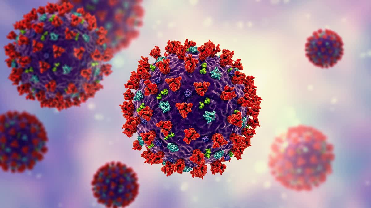 CoronaVirus